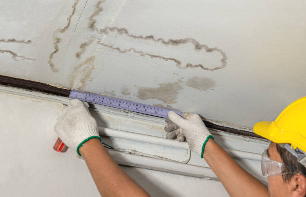 Reliable Structural Drying contractor in Monponsett, MA by Water Damage Irwin